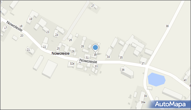 Nowolesie, Nowolesie, 30, mapa Nowolesie