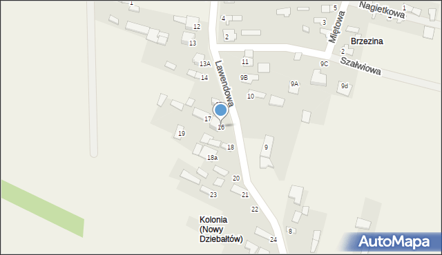 Nowy Dziebałtów, Nowy Dziebałtów, 16, mapa Nowy Dziebałtów