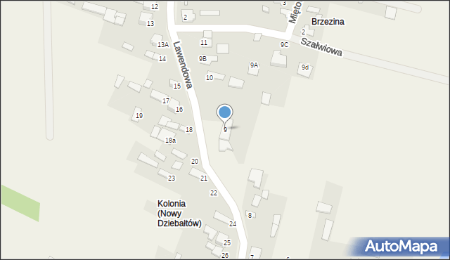 Nowy Dziebałtów, Nowy Dziebałtów, 9, mapa Nowy Dziebałtów