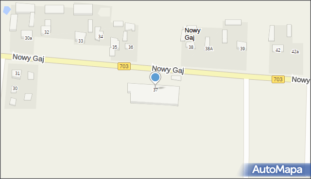 Nowy Gaj, Nowy Gaj, 37, mapa Nowy Gaj