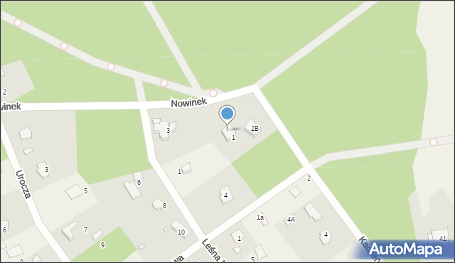 Zalesie Górne, Nowinek, 1, mapa Zalesie Górne