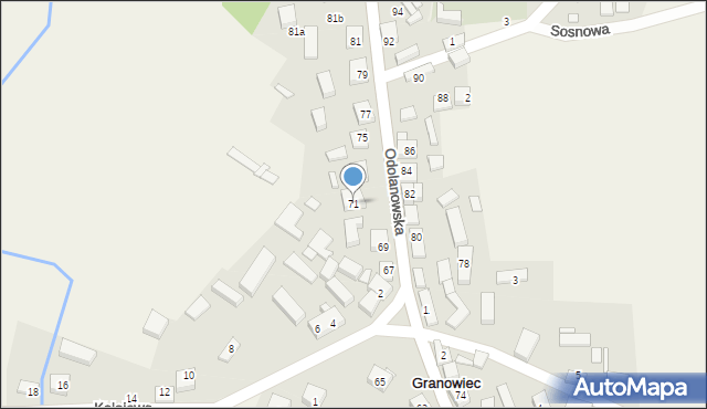 Granowiec, Odolanowska, 71, mapa Granowiec