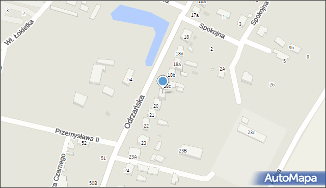 Sulechów, Odrzańska, 19, mapa Sulechów