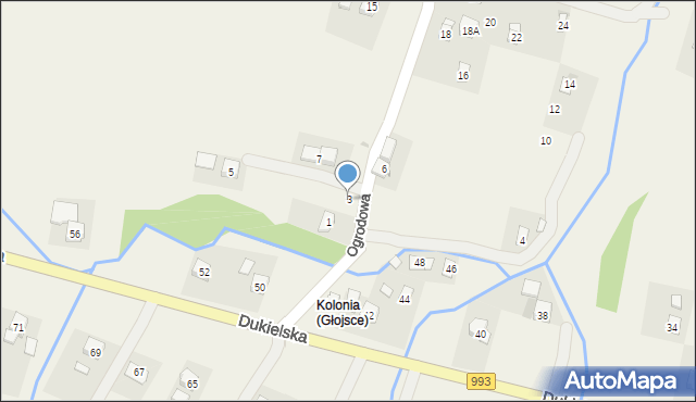 Głojsce, Ogrodowa, 3, mapa Głojsce