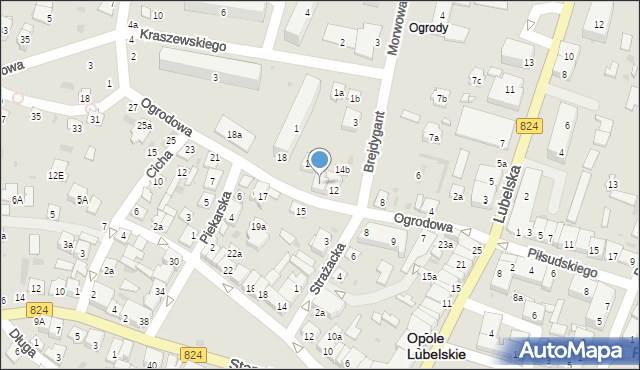 Opole Lubelskie, Ogrodowa, 14, mapa Opole Lubelskie