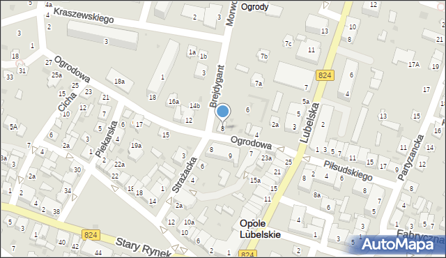 Opole Lubelskie, Ogrodowa, 8, mapa Opole Lubelskie