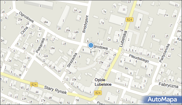 Opole Lubelskie, Ogrodowa, 9, mapa Opole Lubelskie