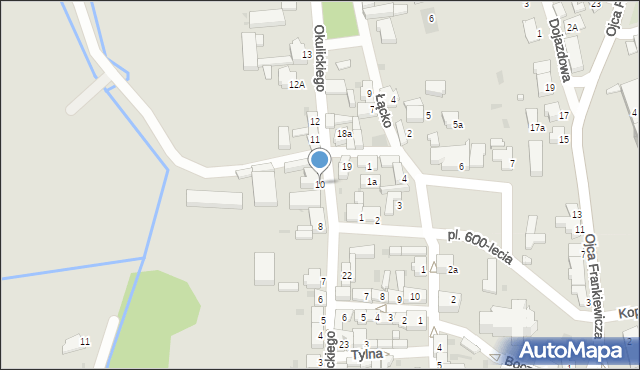 Osieczna, Okulickiego Leopolda, gen., 10, mapa Osieczna