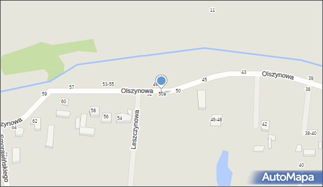 Kalisz, Olszynowa, 50a, mapa Kalisza