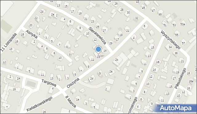 Nisko, Olszyna, 13, mapa Nisko