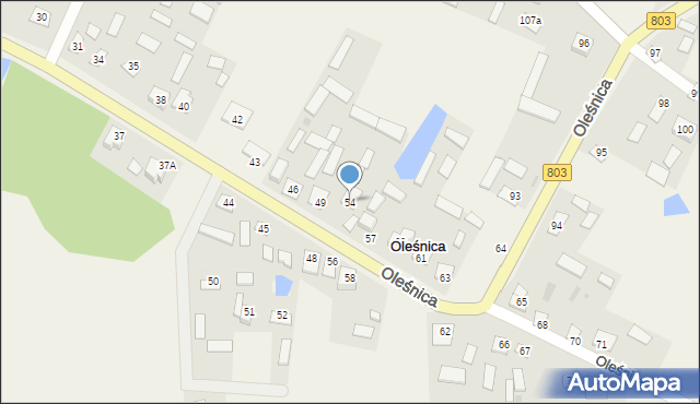 Oleśnica, Oleśnica, 54, mapa Oleśnica