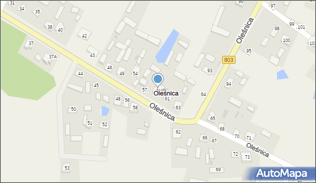 Oleśnica, Oleśnica, 60, mapa Oleśnica