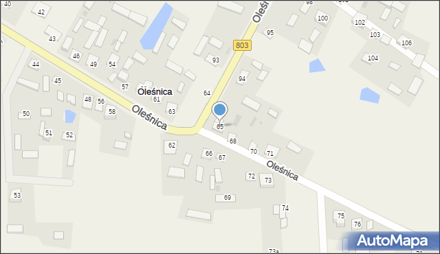 Oleśnica, Oleśnica, 65, mapa Oleśnica