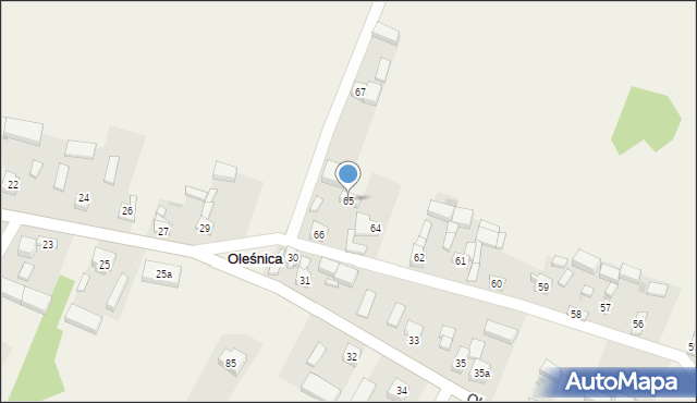 Oleśnica, Oleśnica, 65, mapa Oleśnica