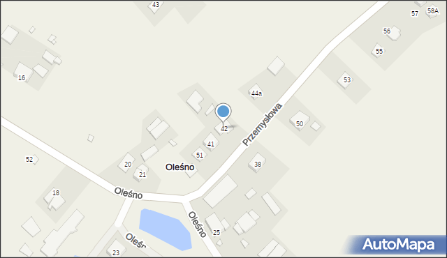 Oleśno, Oleśno, 42, mapa Oleśno