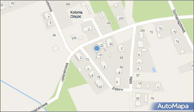 Oliszki, Oliszki, 69, mapa Oliszki