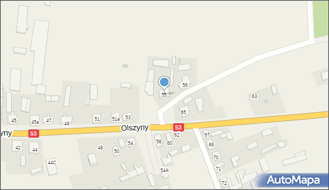 Olszyny, Olszyny, 55, mapa Olszyny