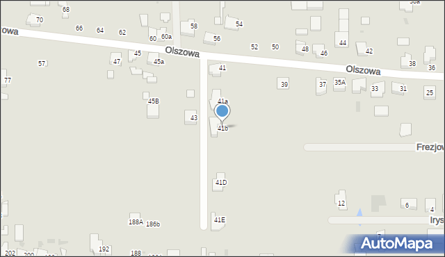 Ostrów Wielkopolski, Olszowa, 41b, mapa Ostrów Wielkopolski