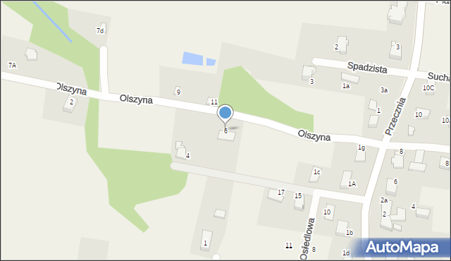 Pisarzowice, Olszyna, 6, mapa Pisarzowice