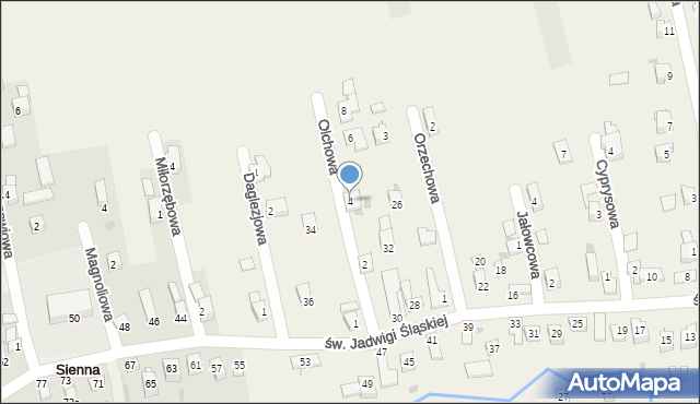 Sienna, Olchowa, 4, mapa Sienna