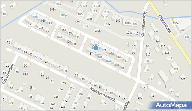 Poznań, Omańkowskiej Janiny, 87g, mapa Poznania