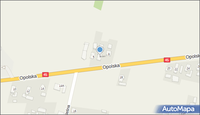 Bierdzany, Opolska, 7, mapa Bierdzany