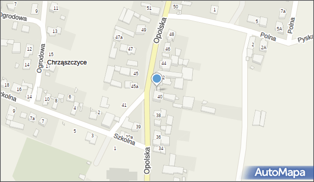 Chrząszczyce, Opolska, 42A, mapa Chrząszczyce
