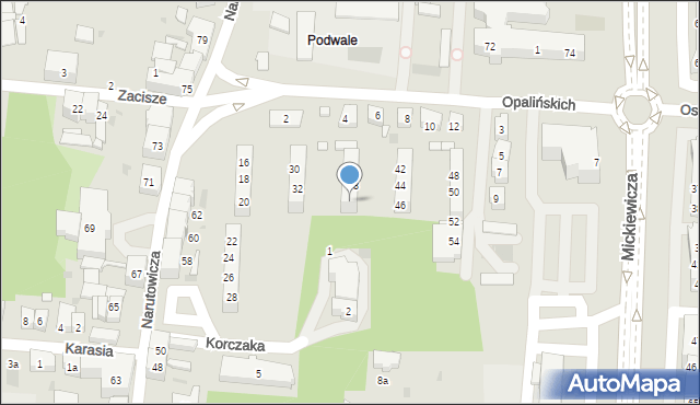 Leszno, Opalińskich, 40, mapa Leszno