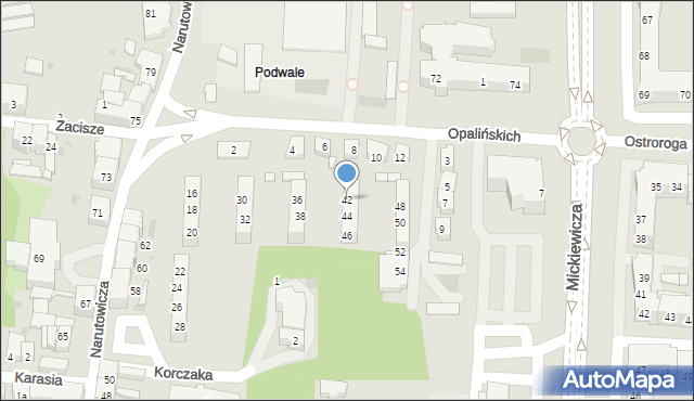 Leszno, Opalińskich, 42, mapa Leszno