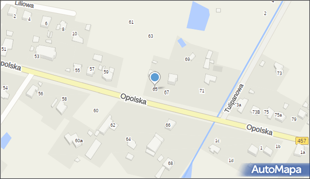 Pisarzowice, Opolska, 65, mapa Pisarzowice