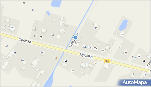 Pisarzowice, Opolska, 73a, mapa Pisarzowice