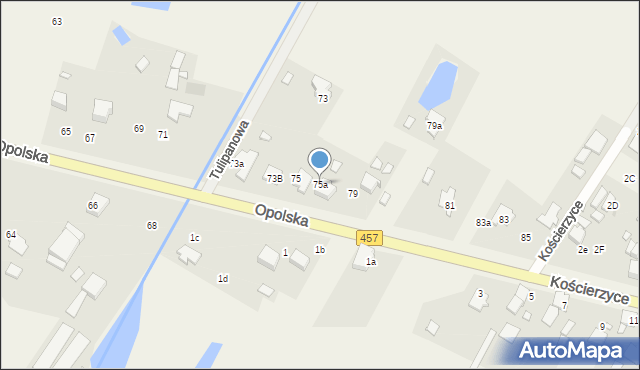 Pisarzowice, Opolska, 75a, mapa Pisarzowice