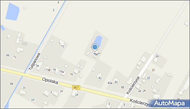 Pisarzowice, Opolska, 79a, mapa Pisarzowice