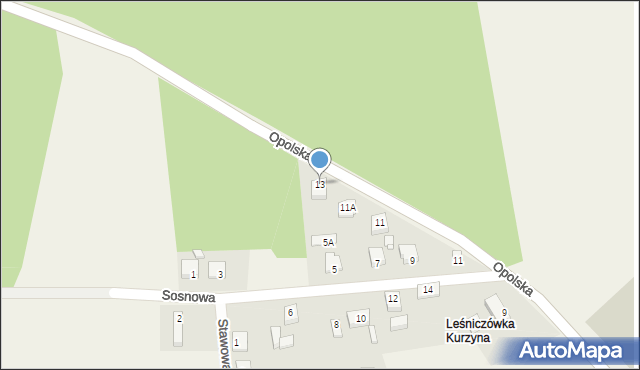 Rudziniec, Opolska, 13, mapa Rudziniec