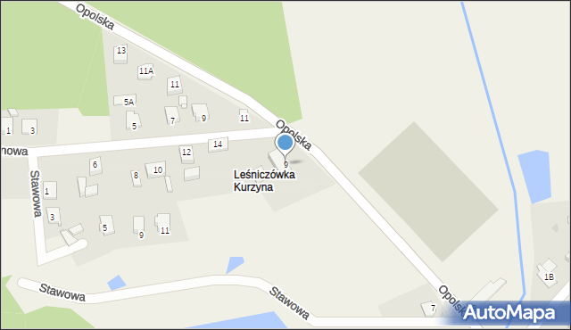 Rudziniec, Opolska, 9, mapa Rudziniec