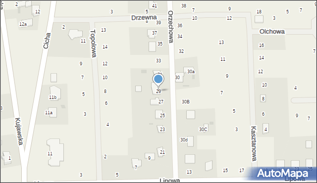 Nowy Zbrachlin, Orzechowa, 29, mapa Nowy Zbrachlin