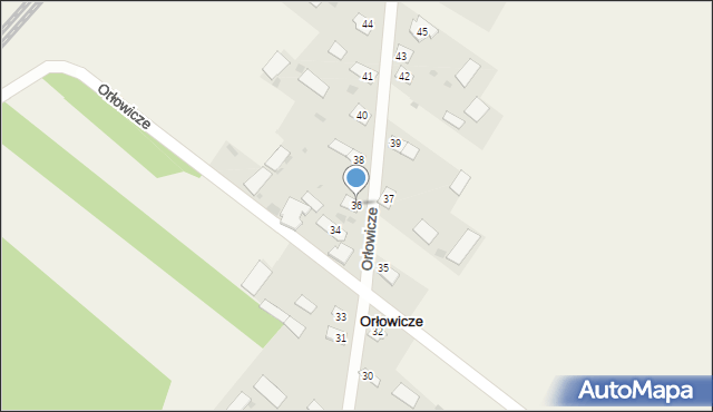 Orłowicze, Orłowicze, 36, mapa Orłowicze