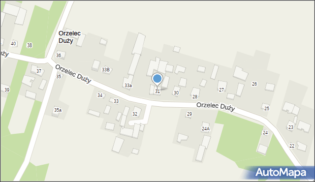 Orzelec Duży, Orzelec Duży, 31, mapa Orzelec Duży