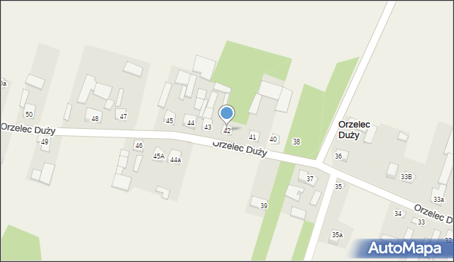 Orzelec Duży, Orzelec Duży, 42, mapa Orzelec Duży