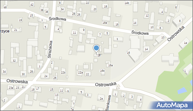 Skalmierzyce, Ostrowska, 20, mapa Skalmierzyce