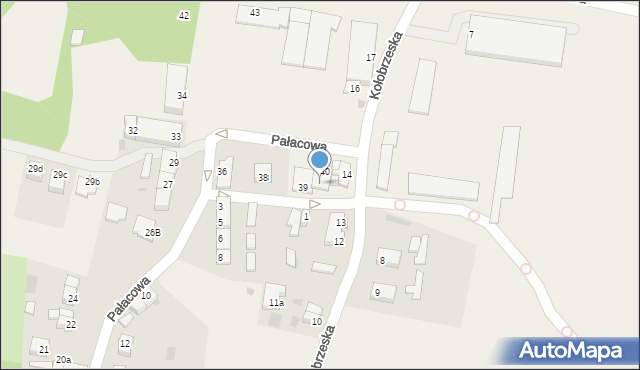 Budzistowo, Pałacowa, 41, mapa Budzistowo