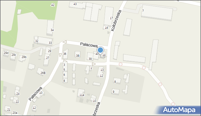 Budzistowo, Pałacowa, 42, mapa Budzistowo