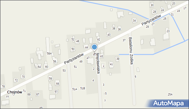 Chojnów, Partyzantów, 45, mapa Chojnów