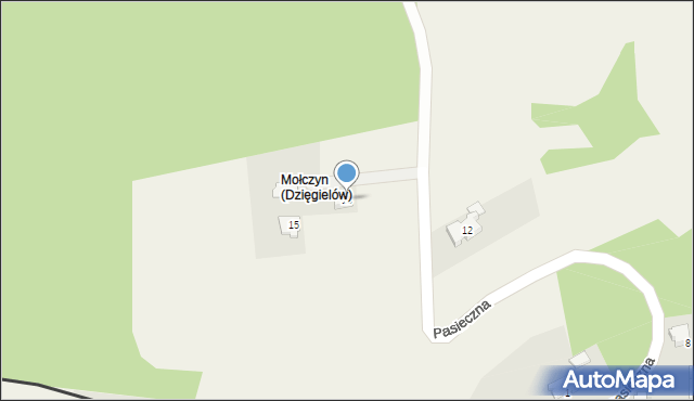 Dzięgielów, Pasieczna, 13, mapa Dzięgielów