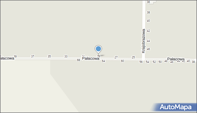 Kalisz, Pałacowa, 29, mapa Kalisza