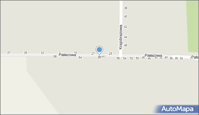 Kalisz, Pałacowa, 60, mapa Kalisza