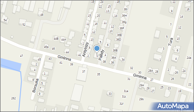 Lesznowola, Pandy, 1, mapa Lesznowola