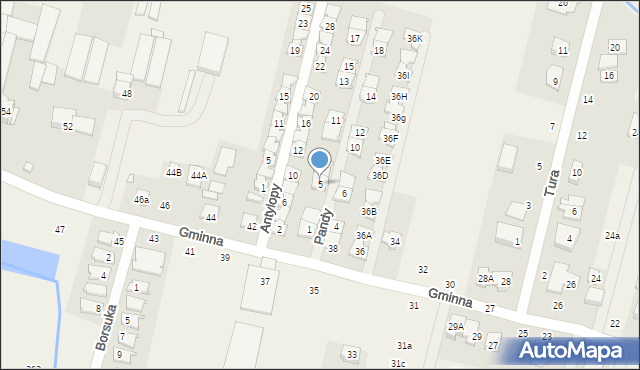 Lesznowola, Pandy, 5, mapa Lesznowola