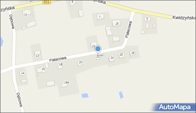 Licze, Pałacowa, 22, mapa Licze