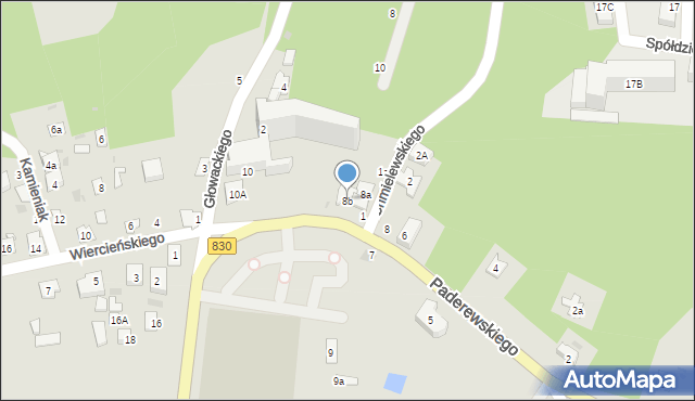 Nałęczów, Paderewskiego Ignacego Jana, 8b, mapa Nałęczów